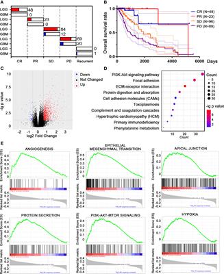 ITGA5 Predicts Dual-Drug Resistance to Temozolomide and Bevacizumab in Glioma